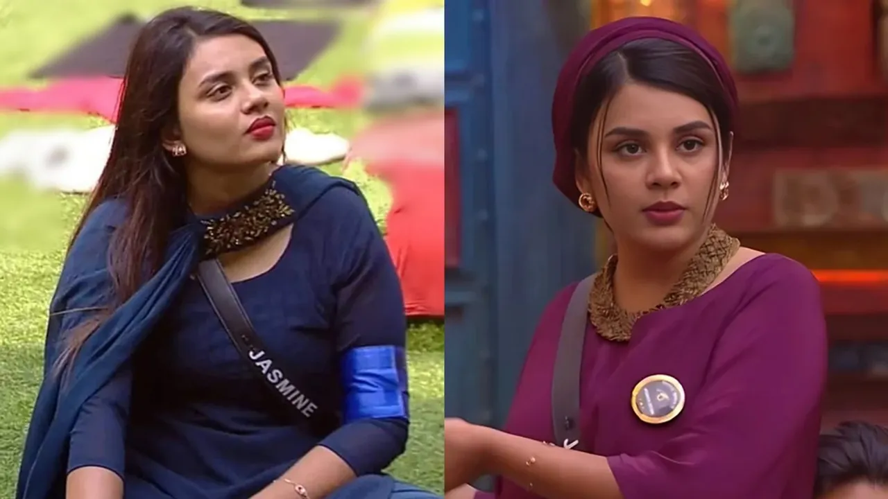 Jasmin Jaffar Bigg Boss Malayalam 6 Youtube income