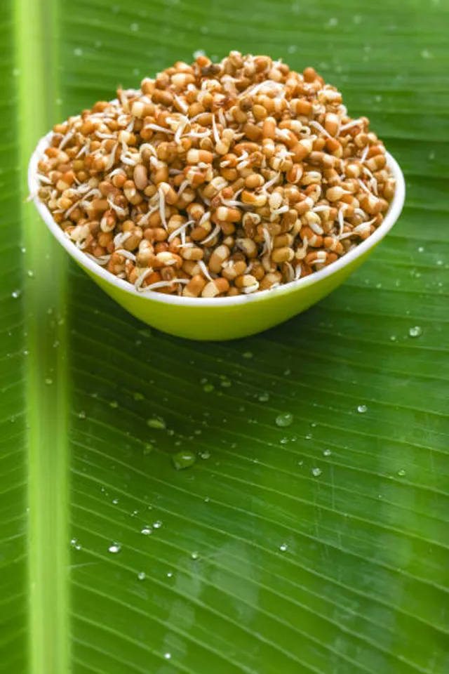 sprouts