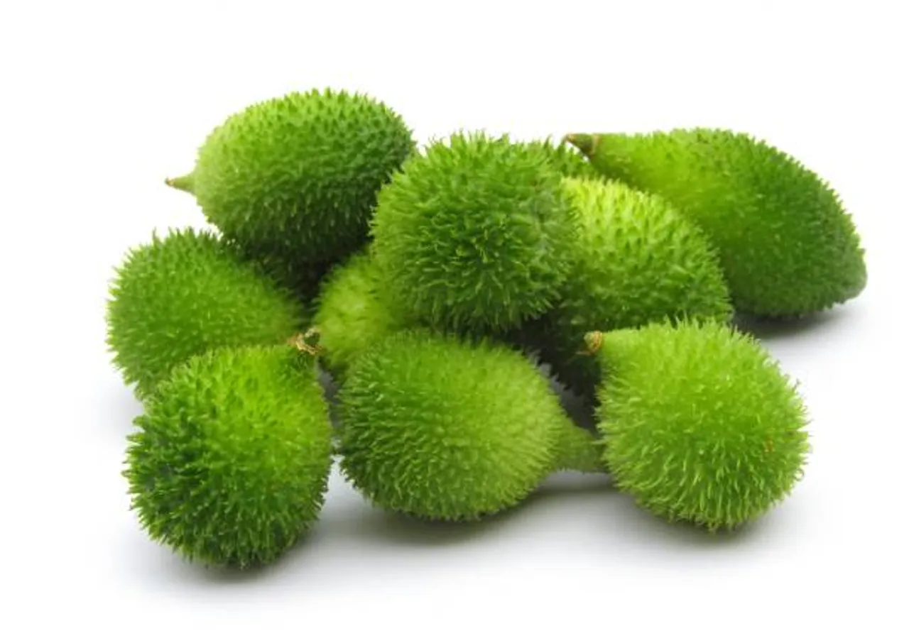 kantola