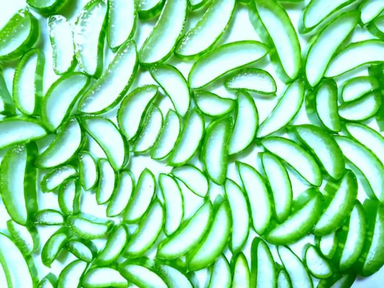 aloevera