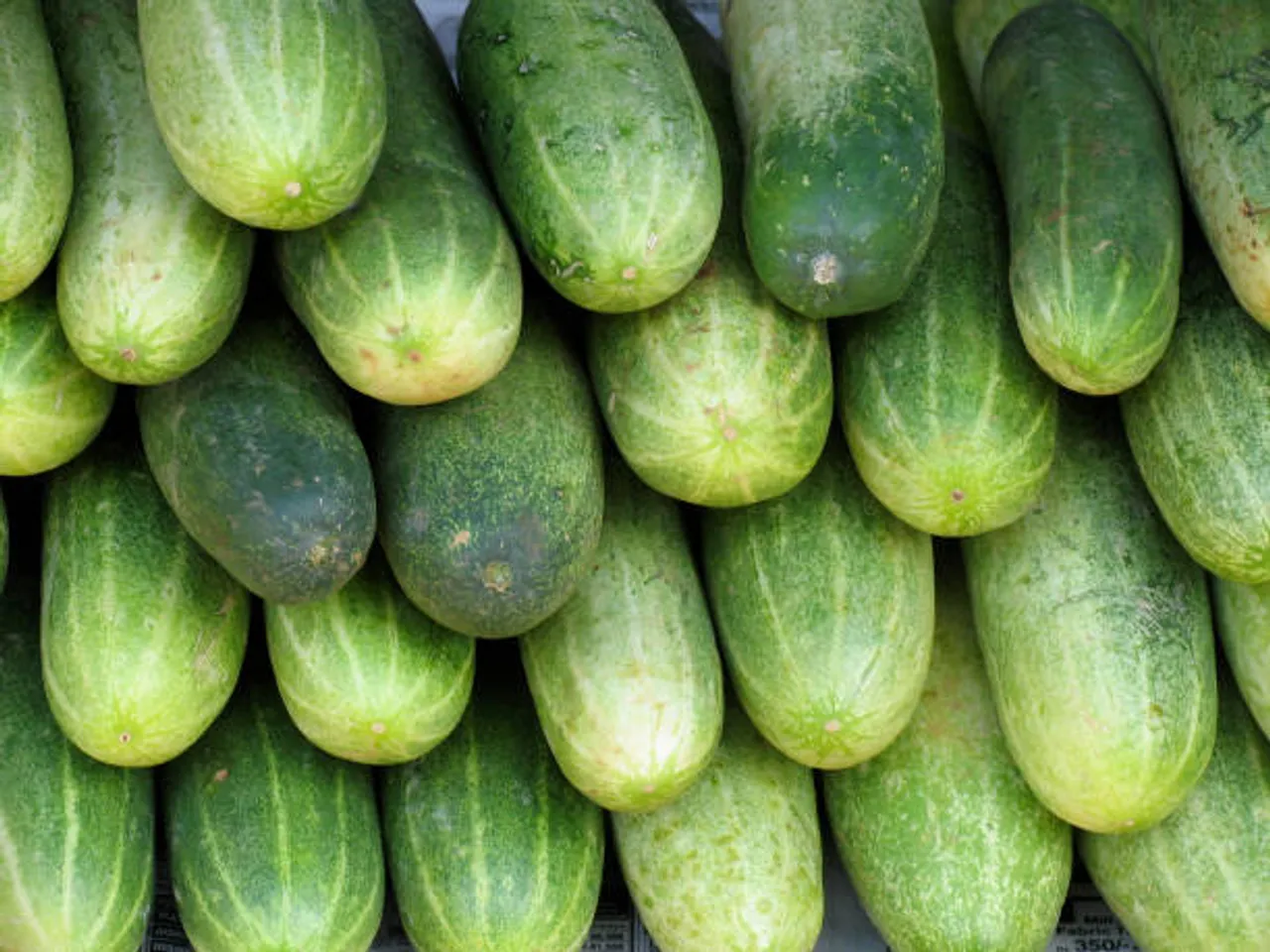cucumbers