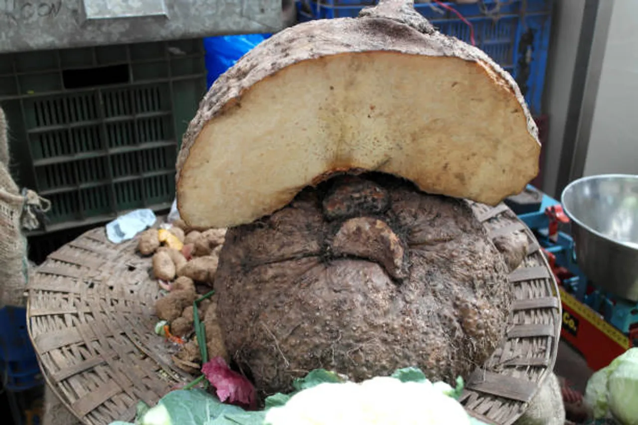 yam