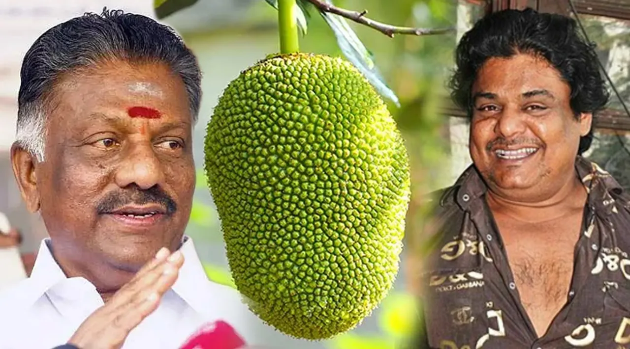 Mansoor OPS Jank Frityu