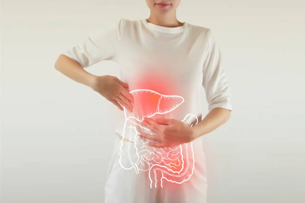 liver