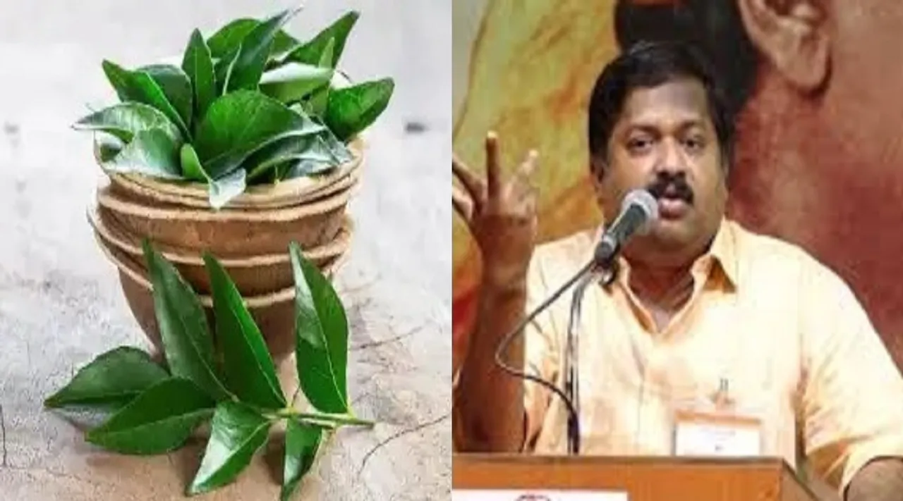 curry leaves Sivaraman