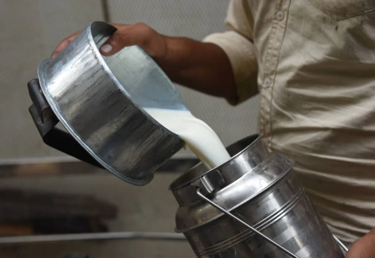 milk
