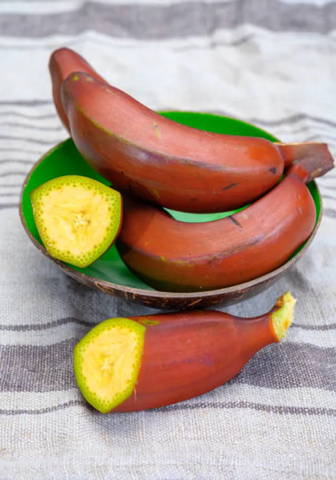 Red banana