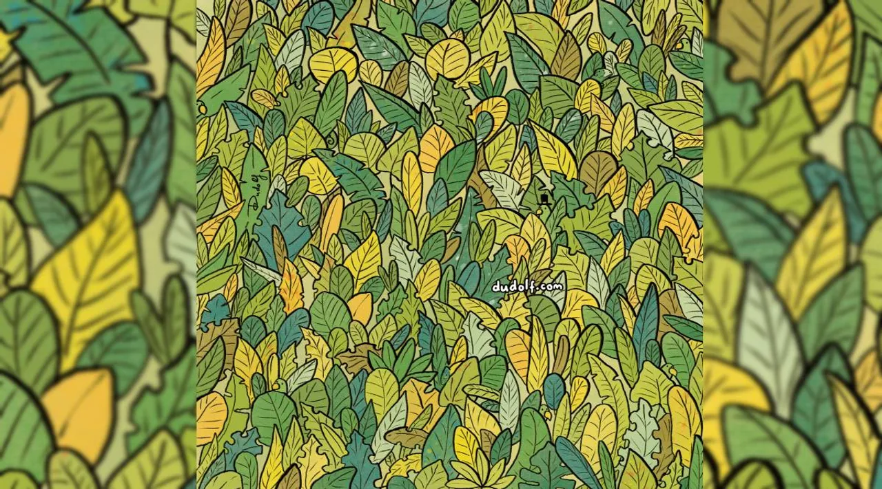 Chameleon