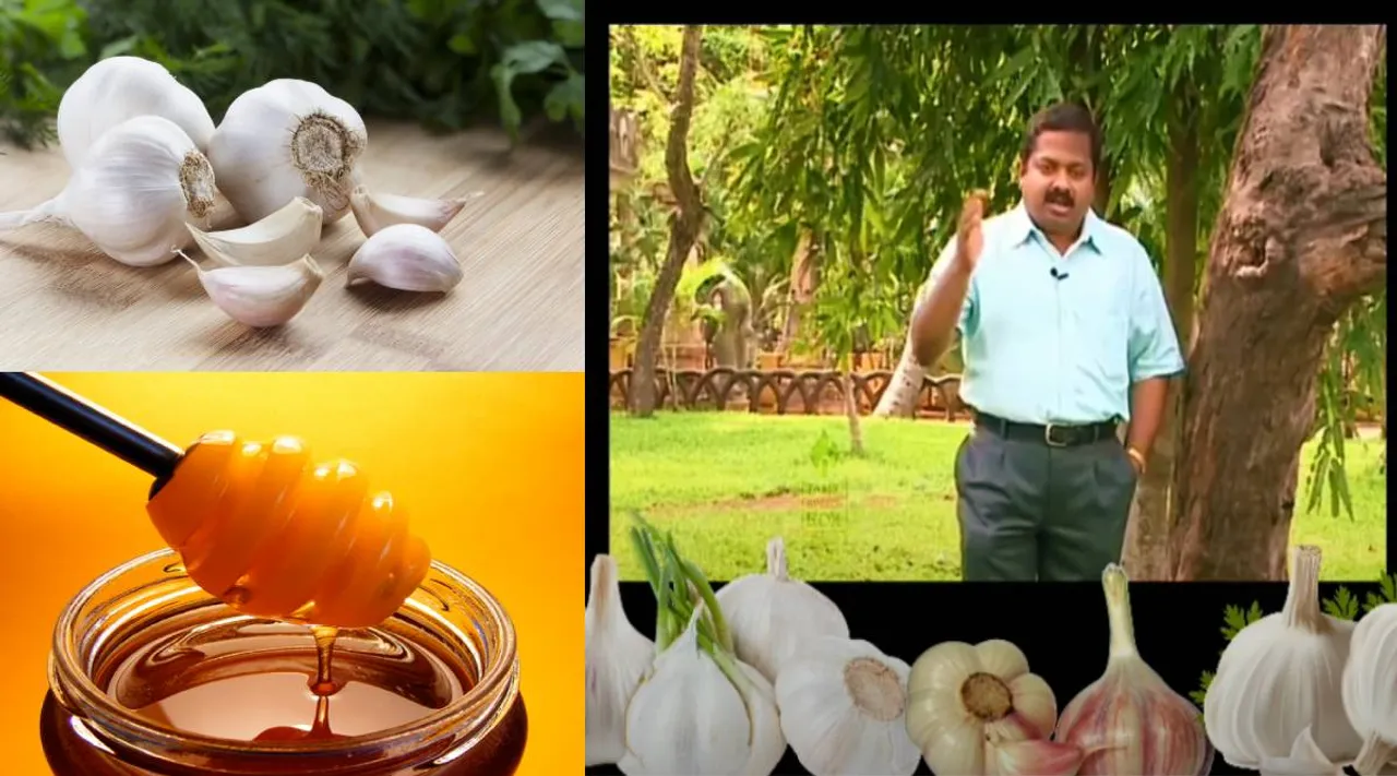garlic + honey