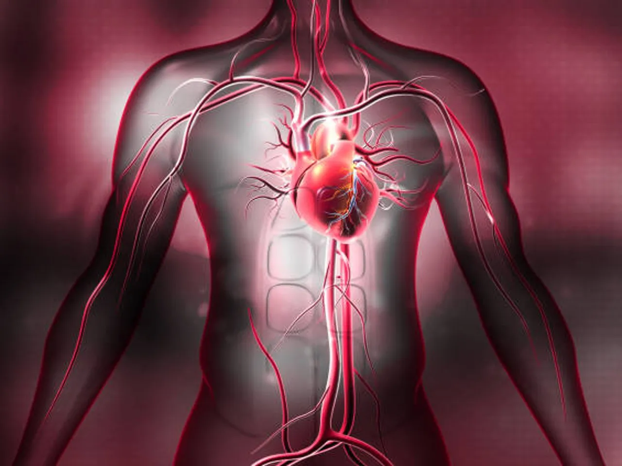 arteries