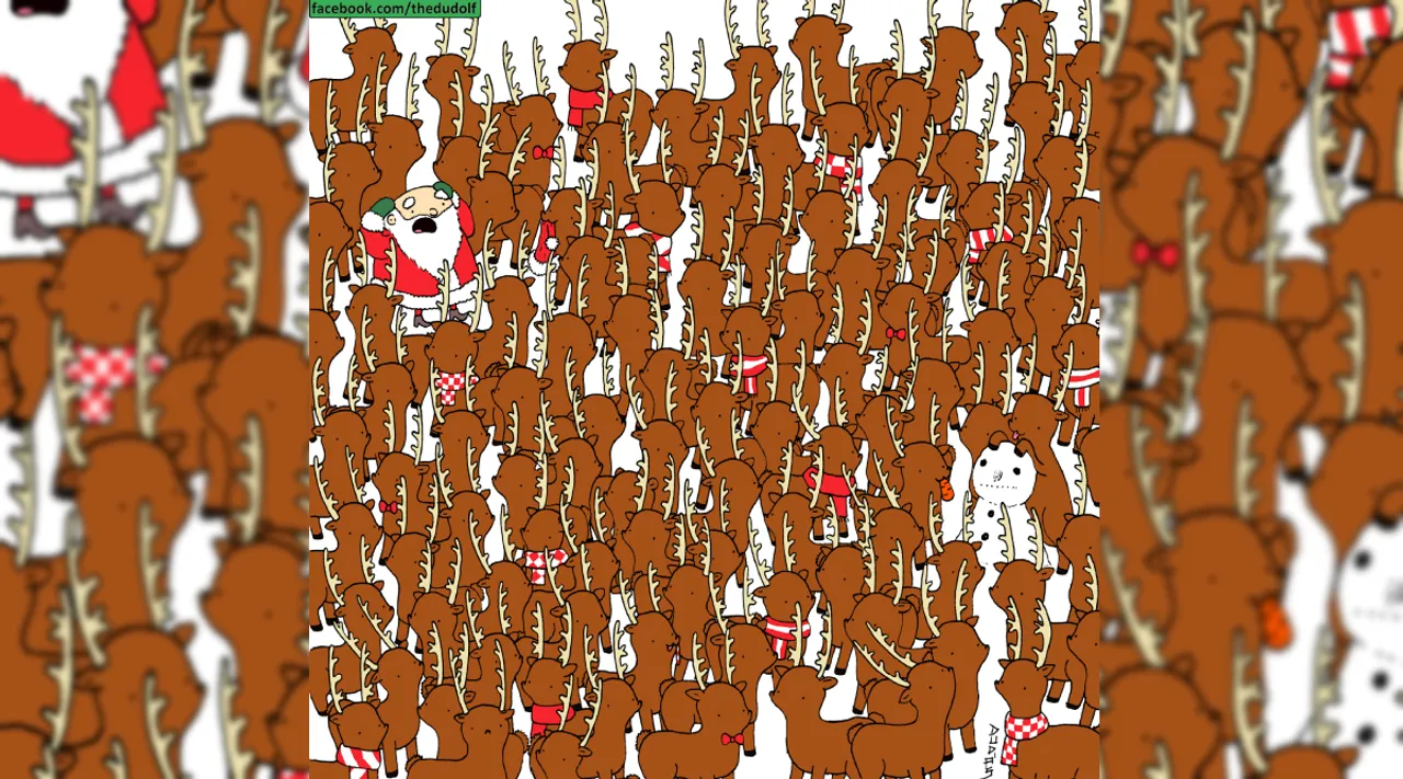 bear among deer 1