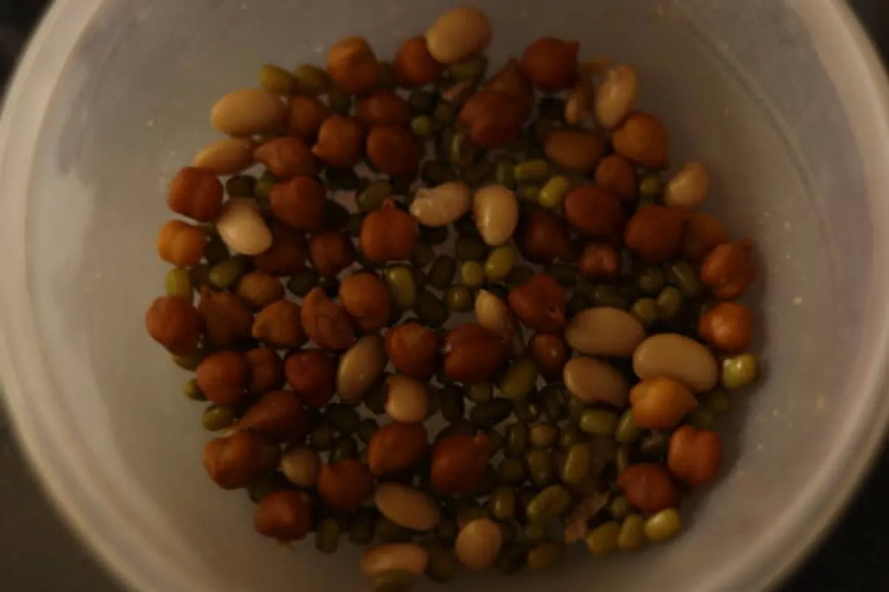 rajma