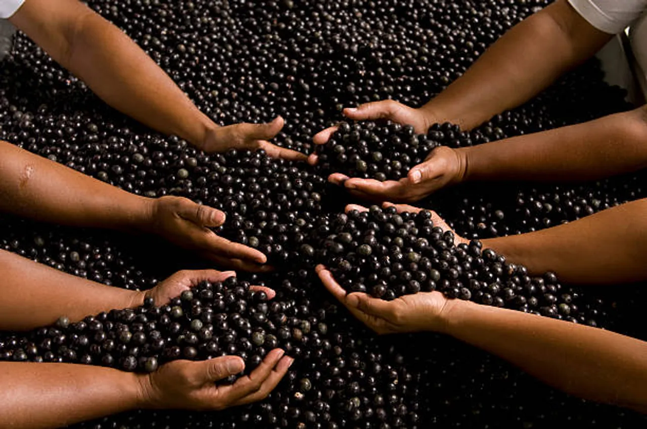acai berries
