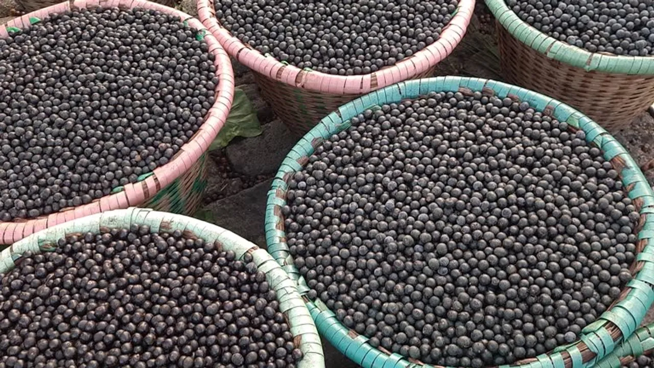 acai berries
