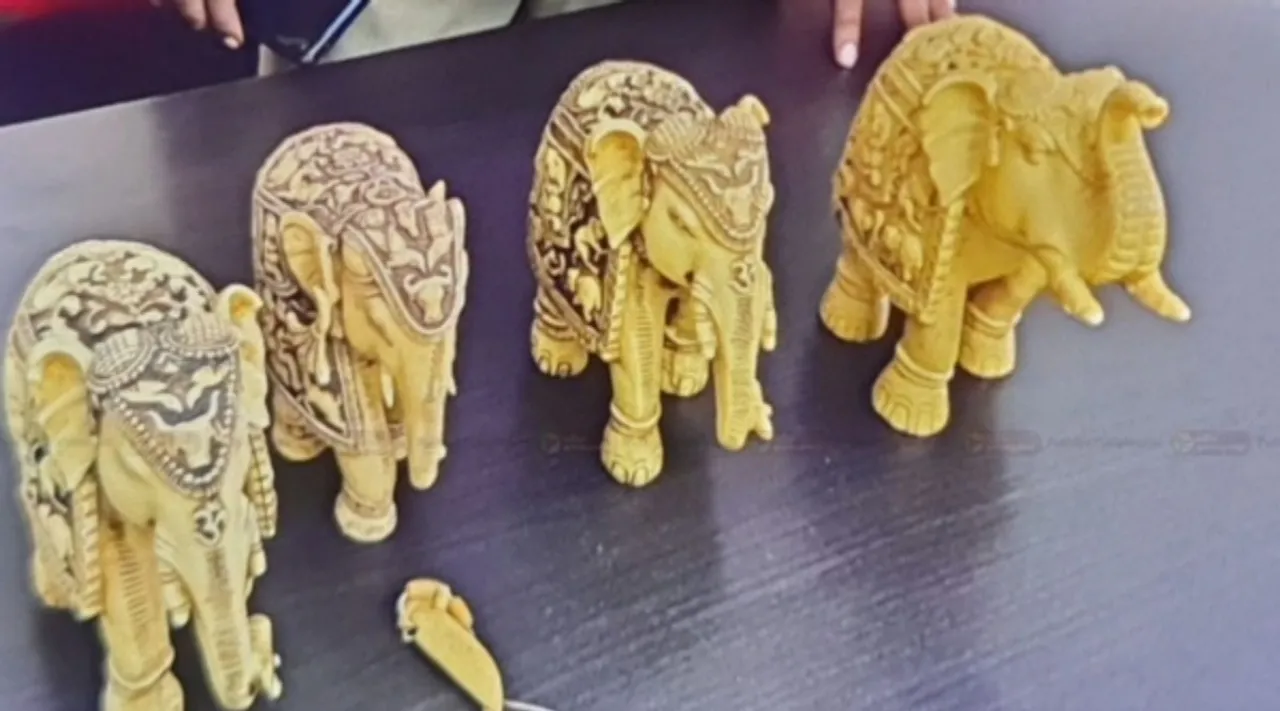 tusker ivory statue x