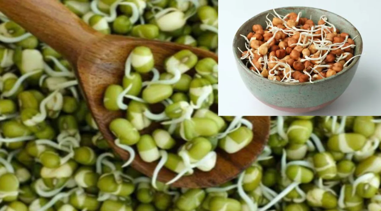 முளைக்கட்டிய பயிர்கள்