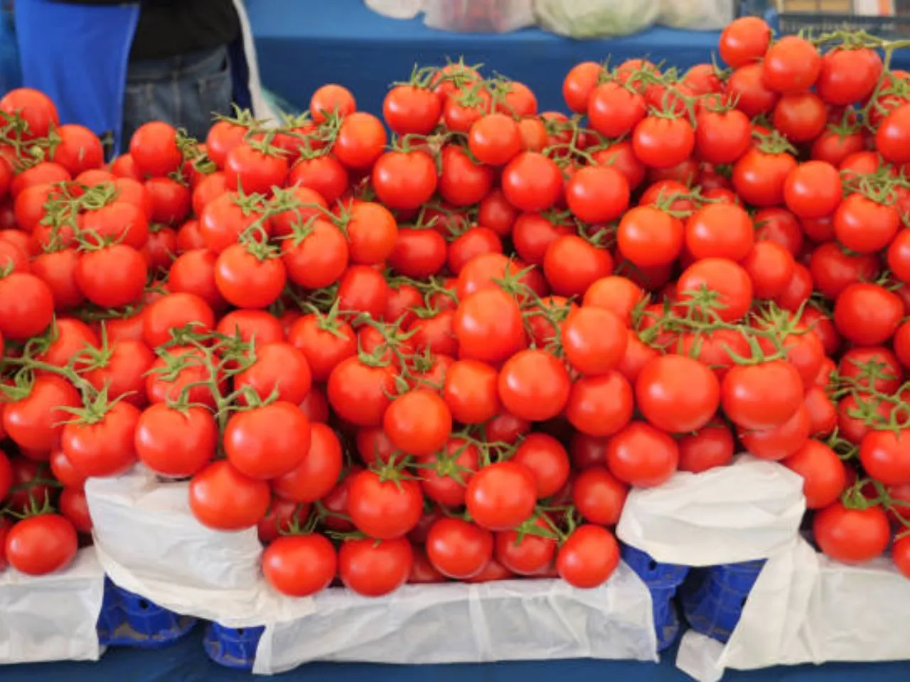 cherry tomato