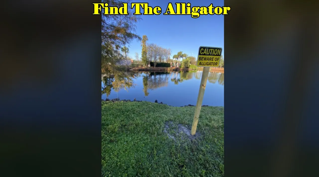 Allicator find 