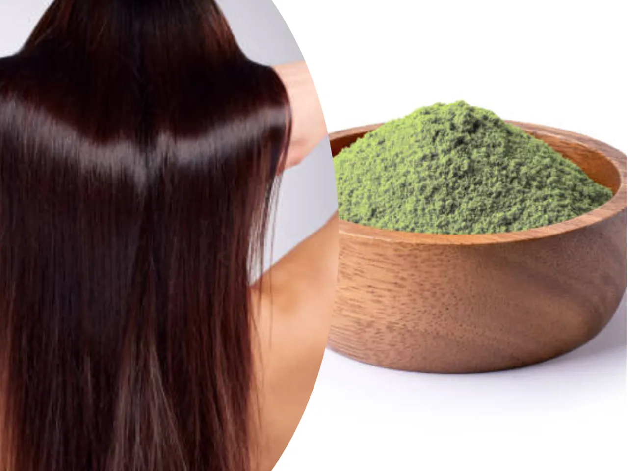 moringa