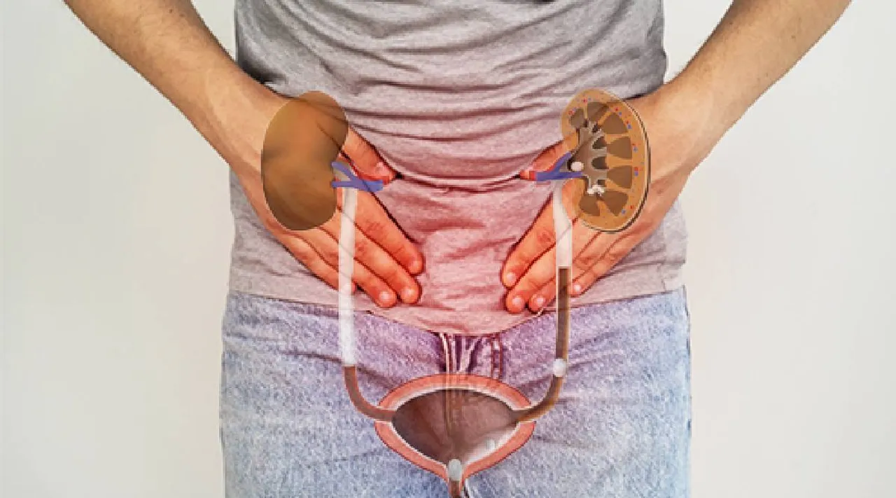 Bladder