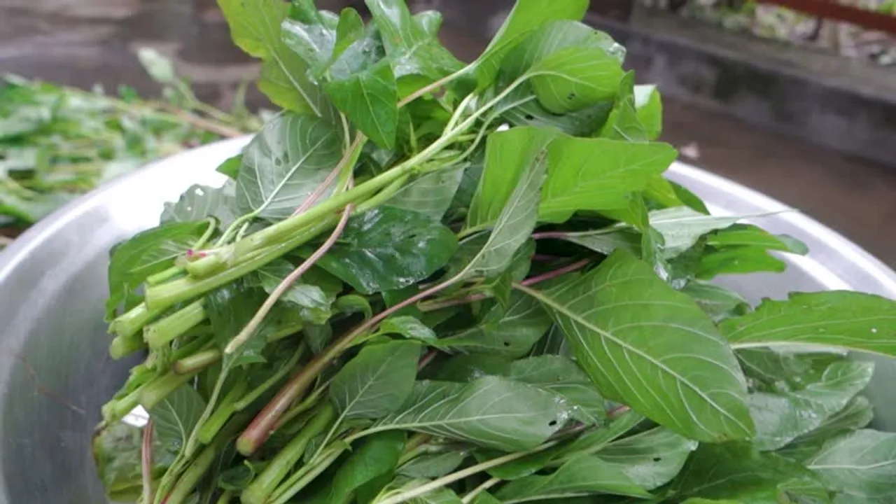 amaranth leaves