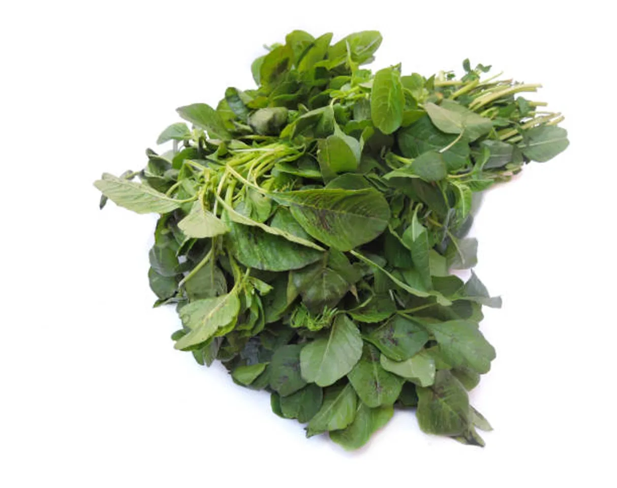 amaranth leaves