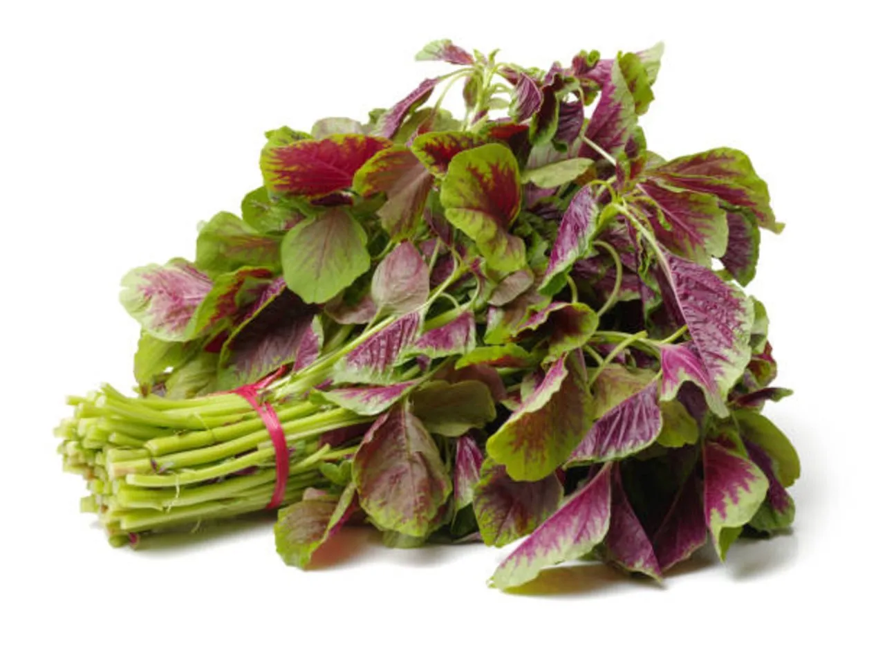 amaranth leaves