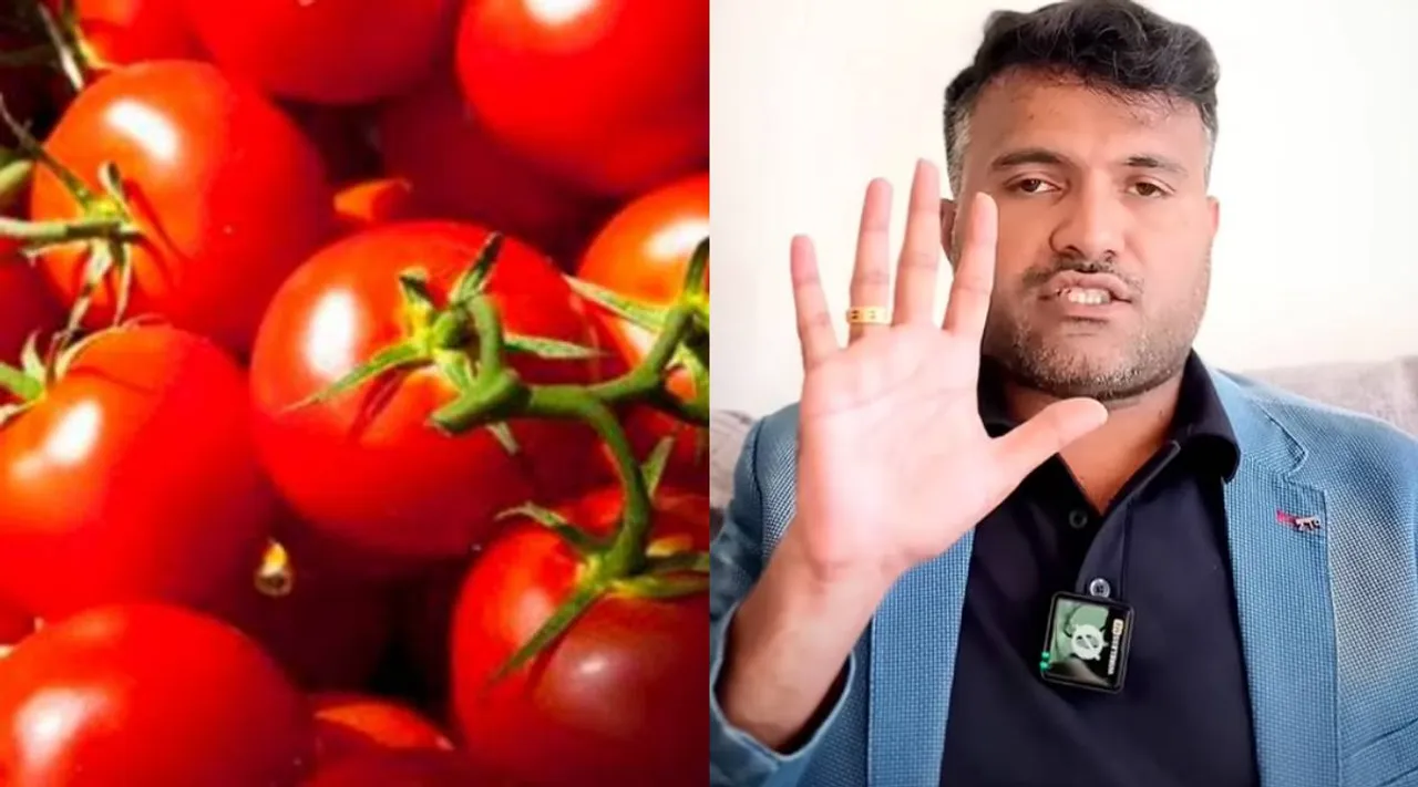 tomato dr pillai