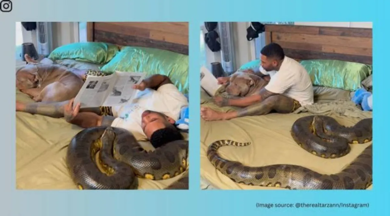 man relaxes with giant python