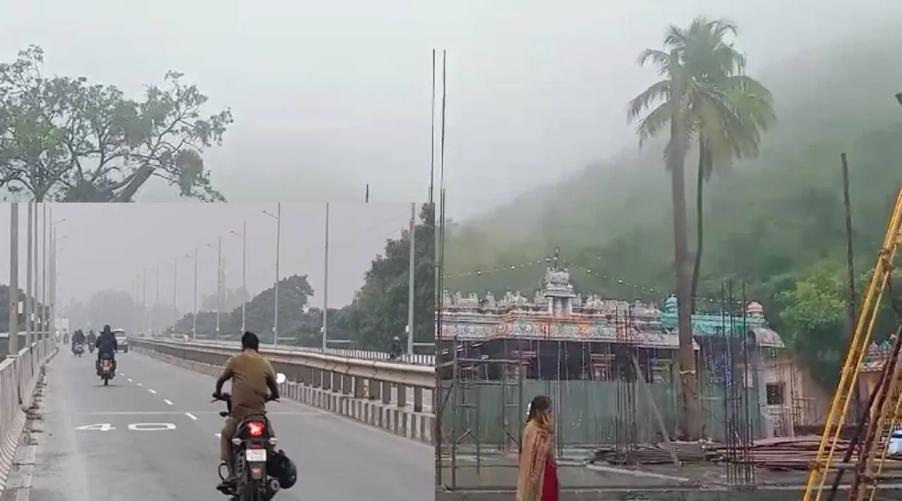 mist             