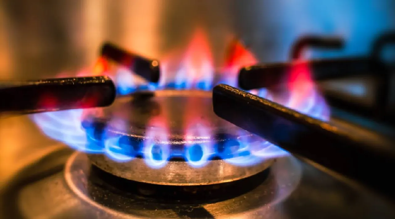 Gas stove