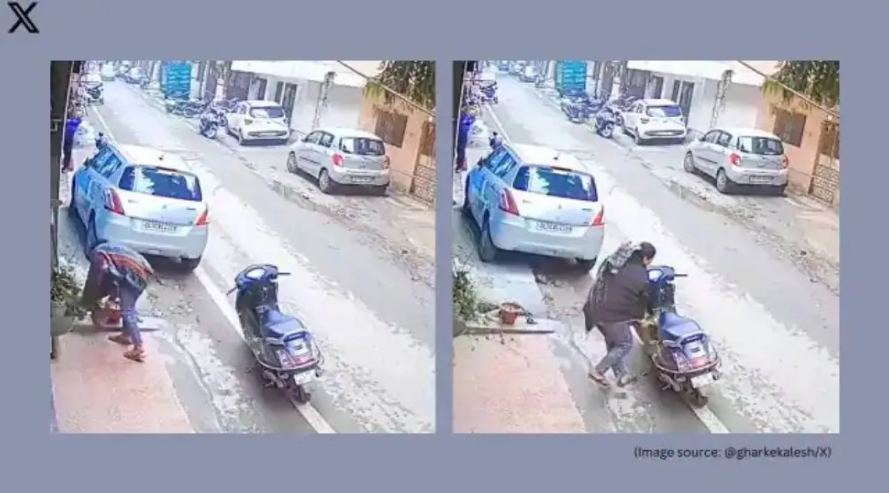 woman  steals flowerpot