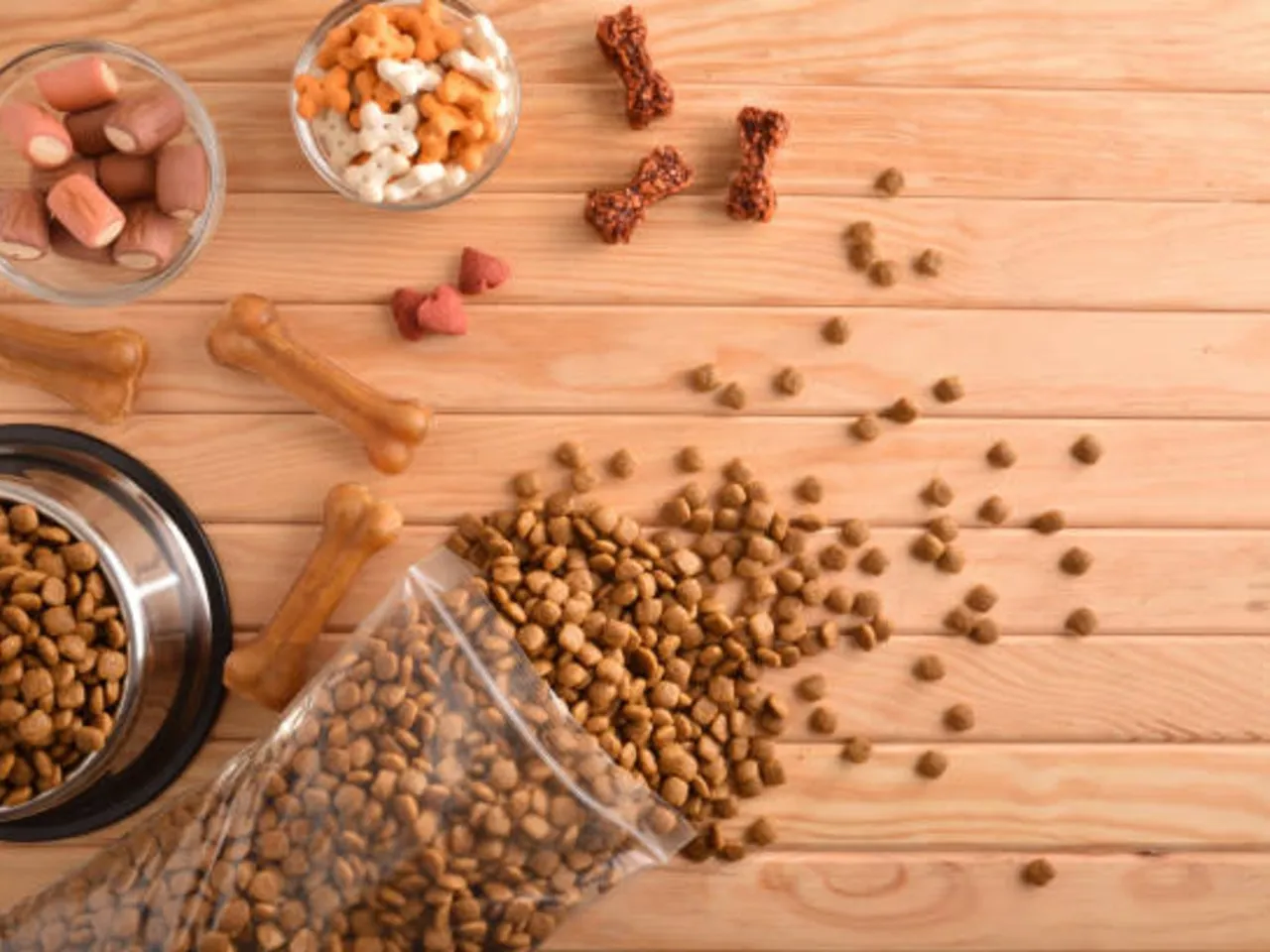 dog food