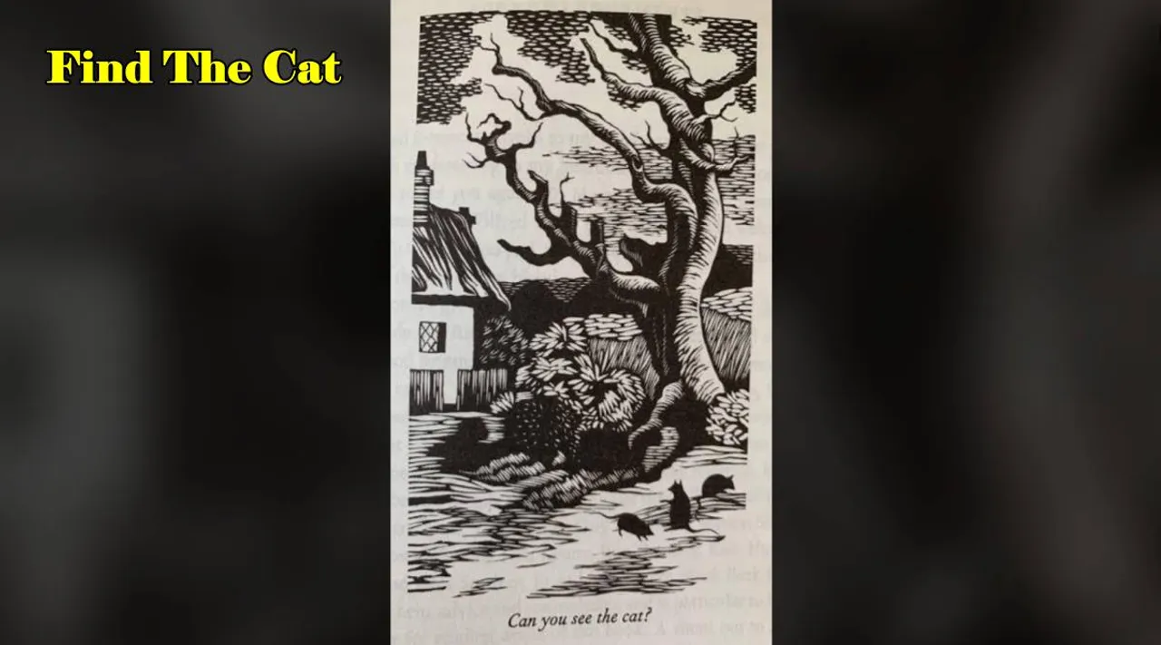cat