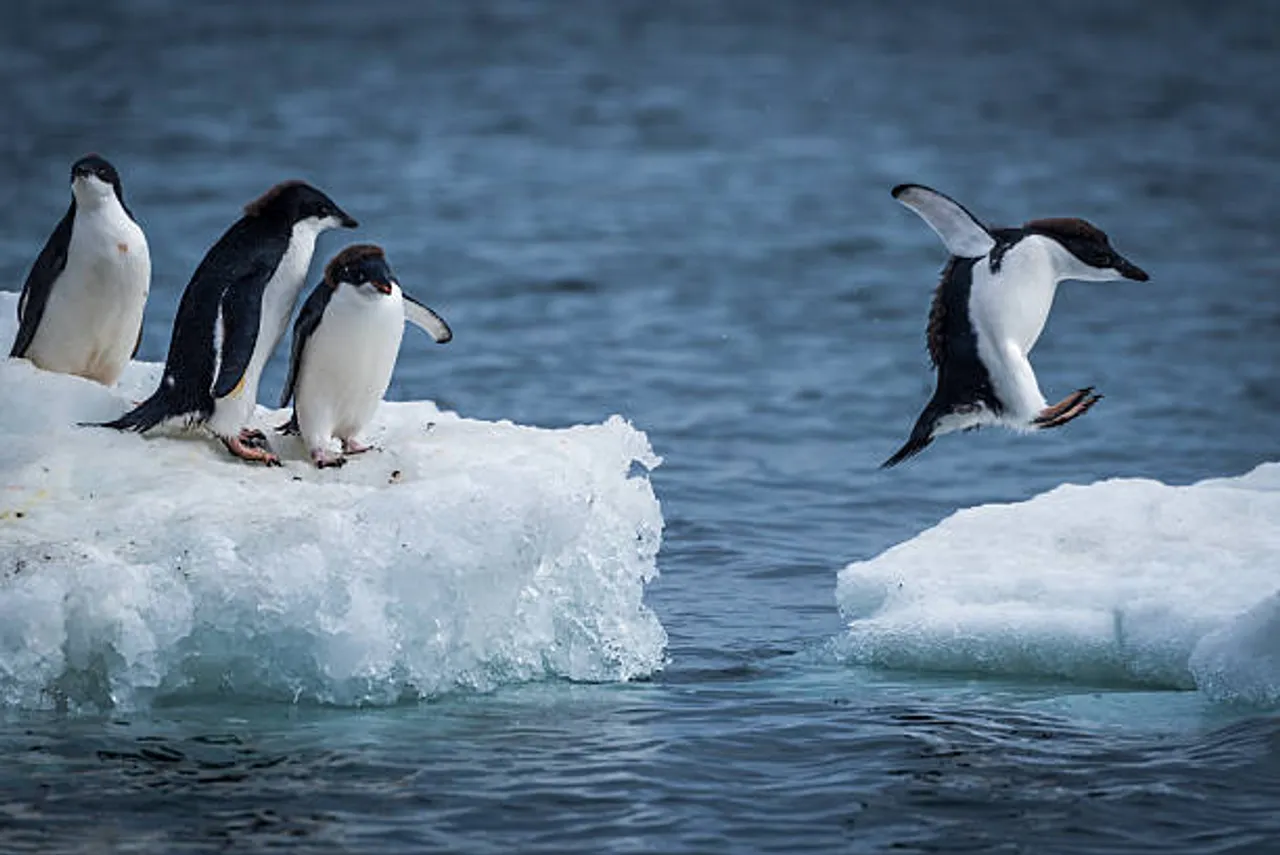 antarctica