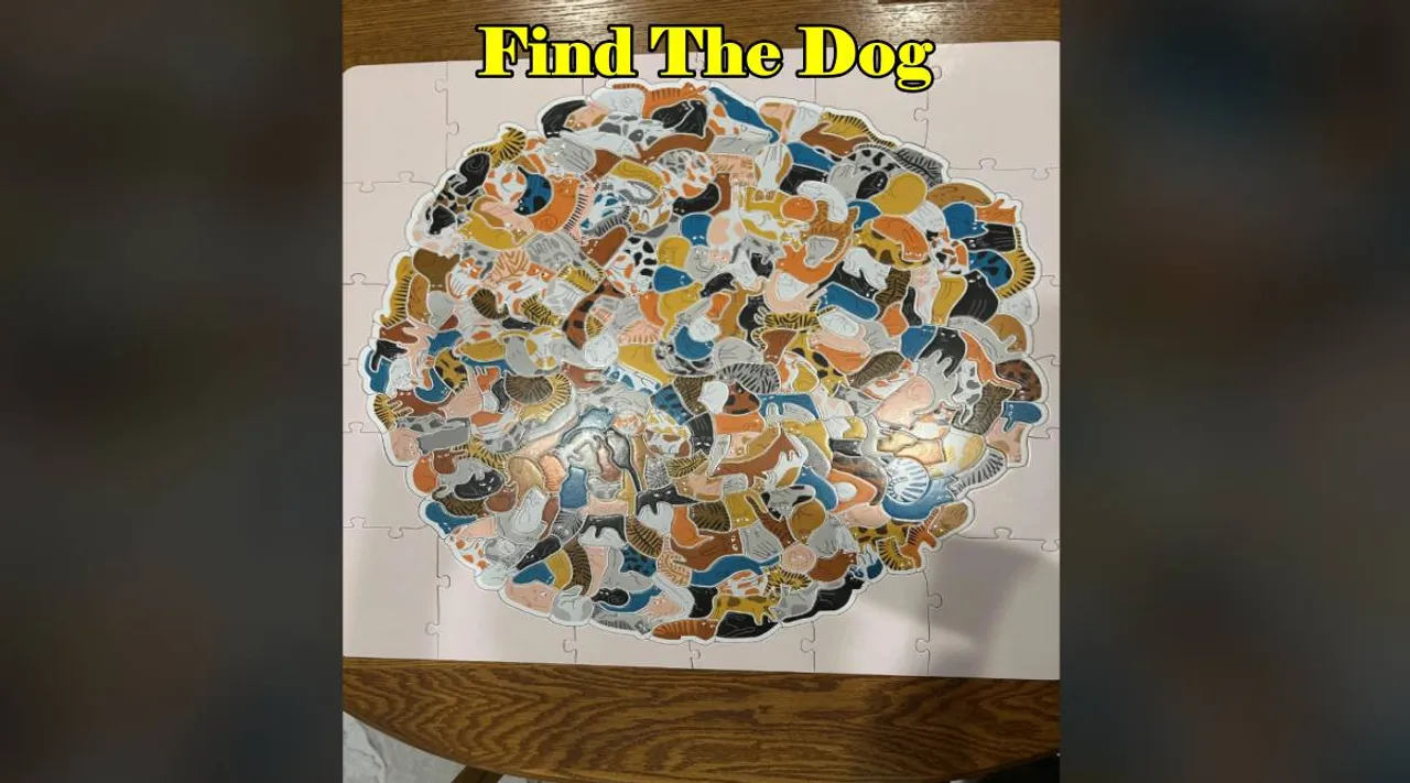 Find The Dog