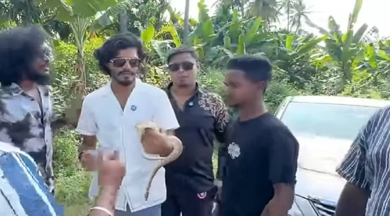 ttf vasan snake