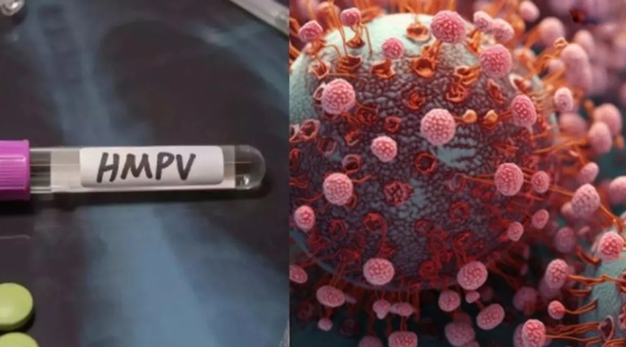 HMPV Virus