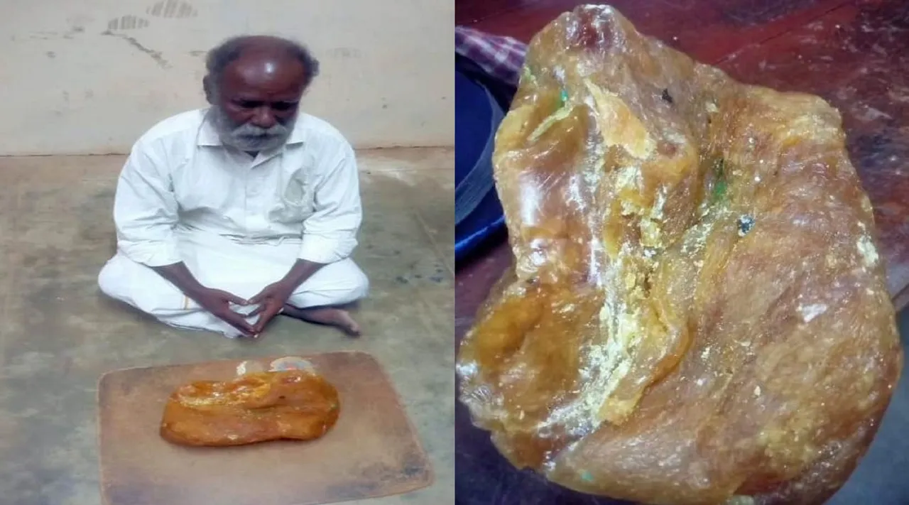sivaganga ambergris