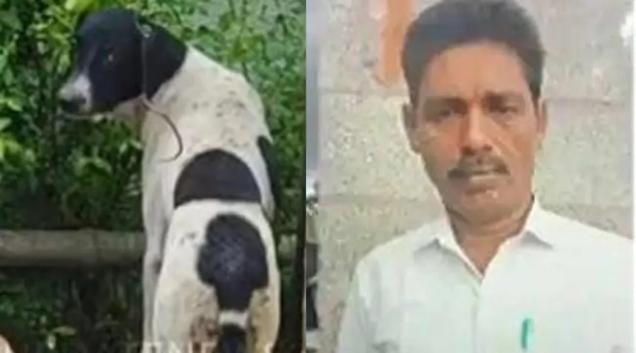 Trichy Dog upda