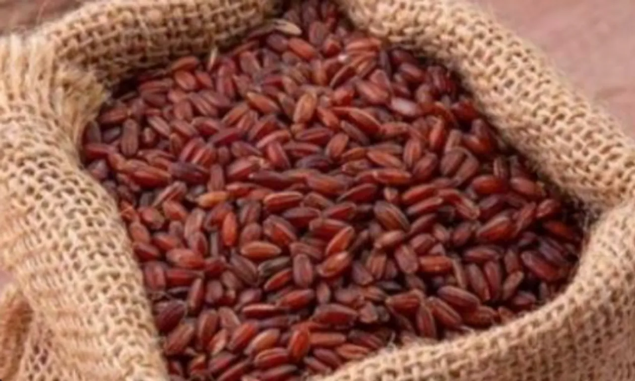 பூங்கர் அரிசி
