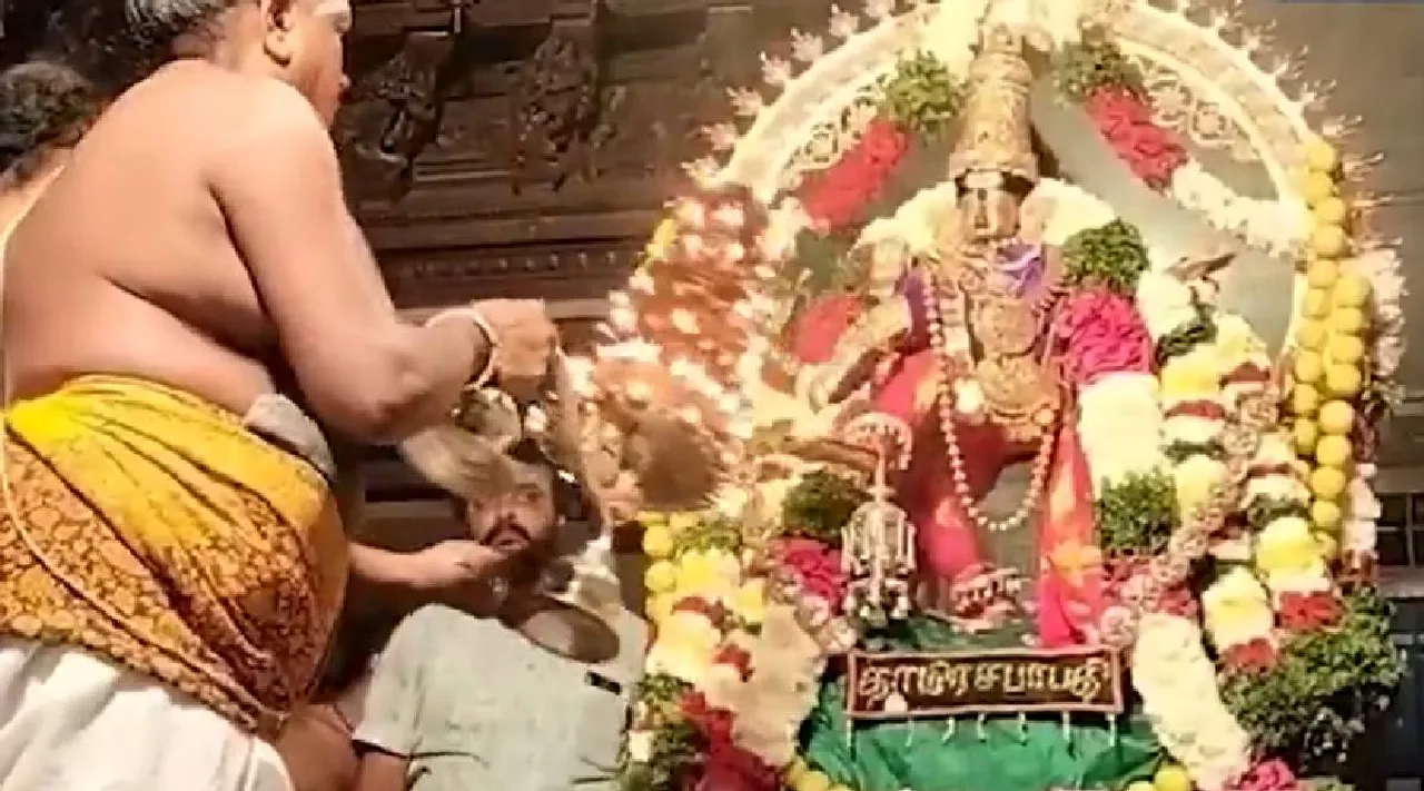 Nellaiappar temple fest
