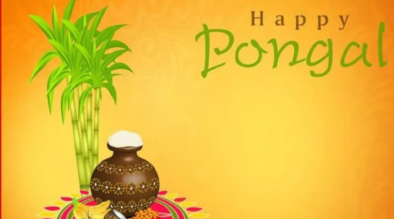 Pongal 