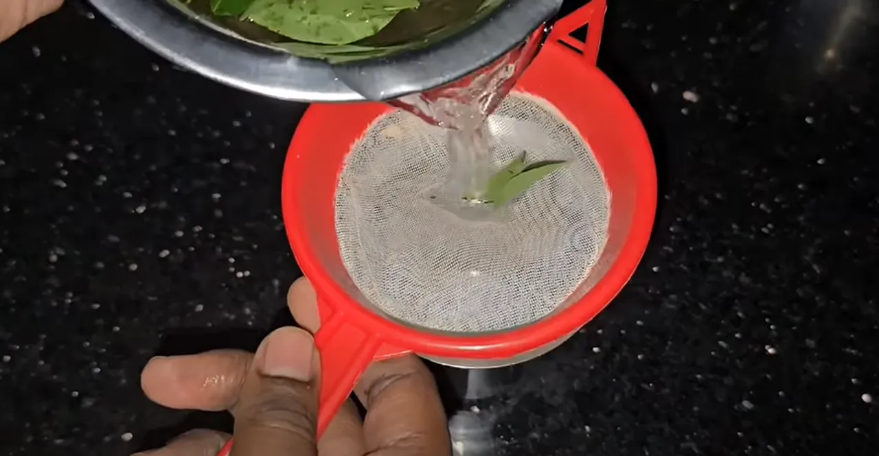 curry leaves