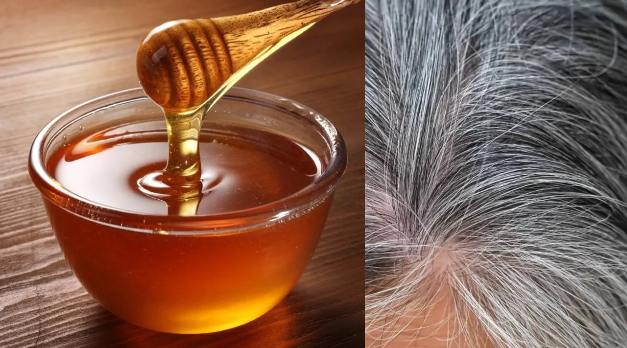 honey and grey hair