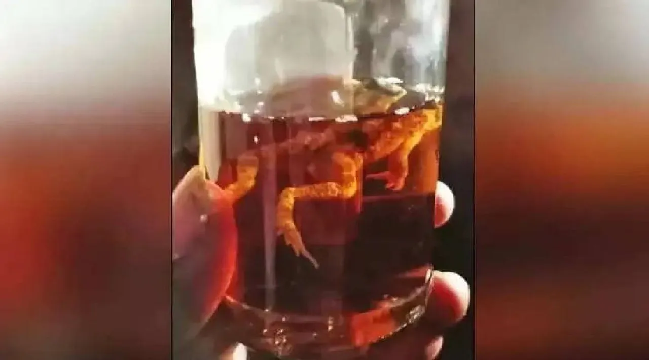 frog in bottle