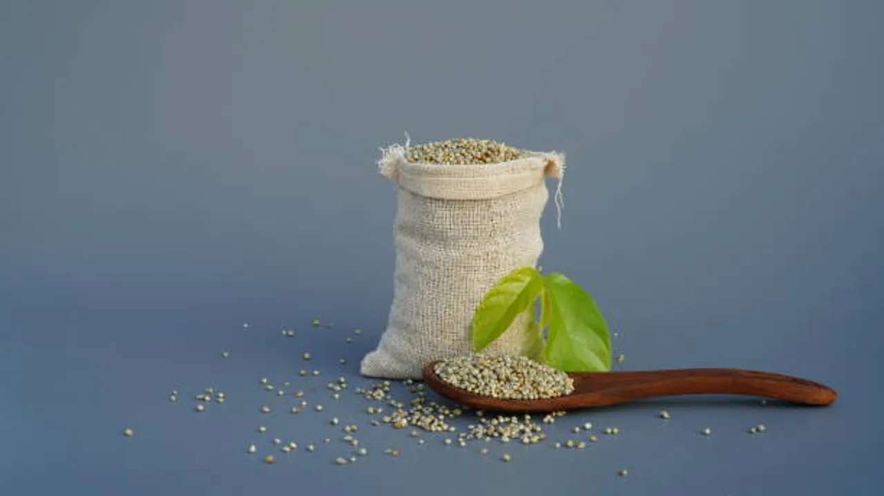 pearl millet
