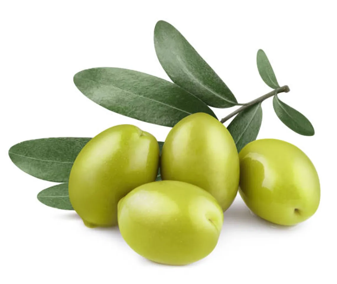 olive leaves