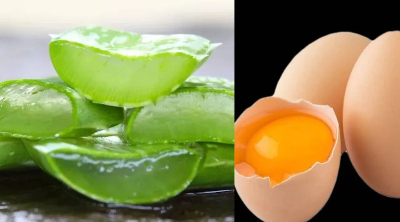 Aloevera gel and egg