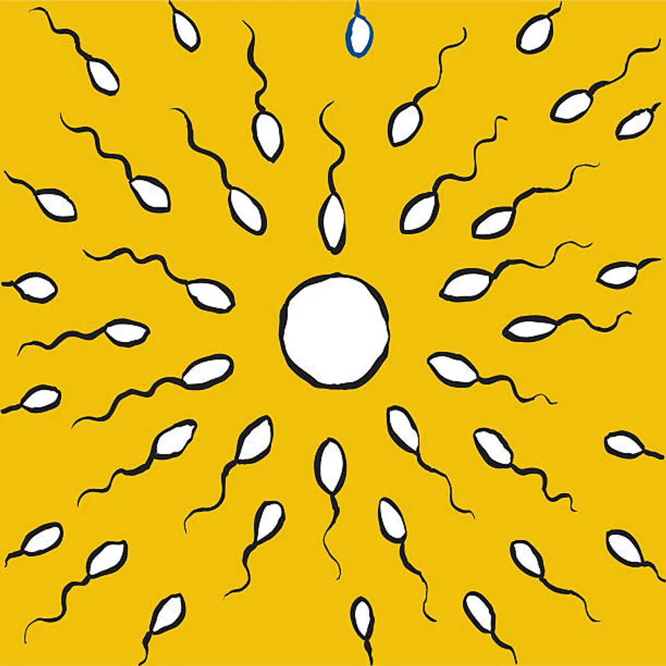 sperm